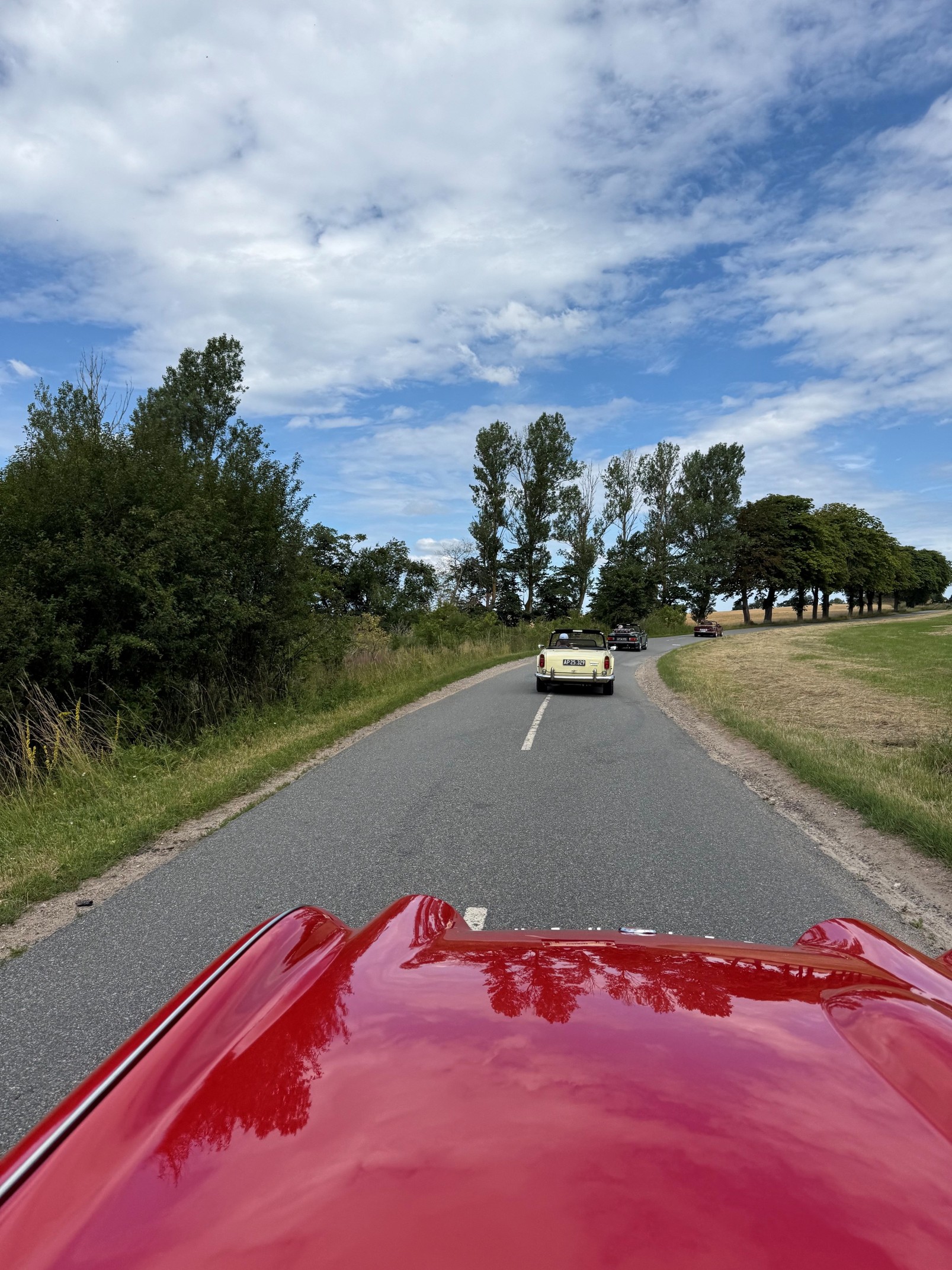TR250