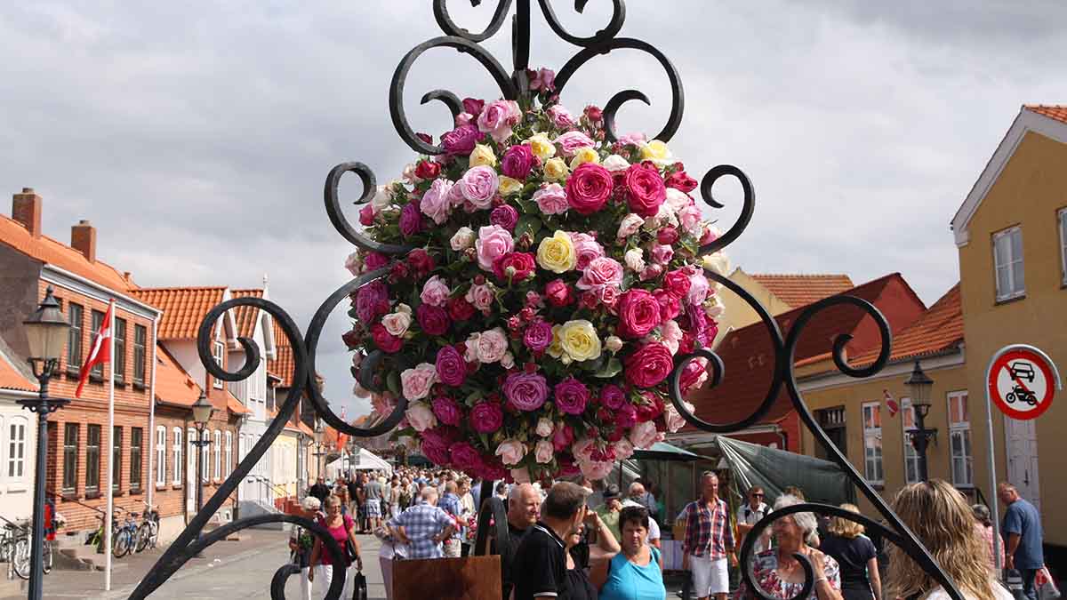 Rosenfistival 2026 2