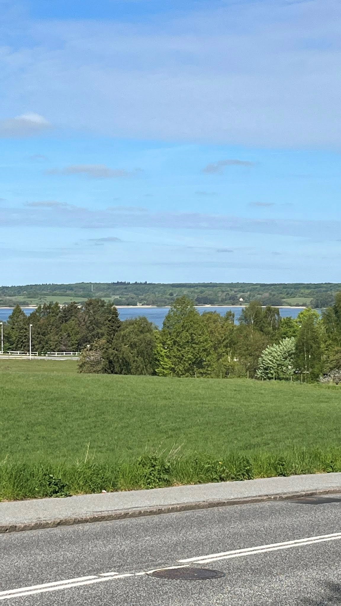 Aasebakken 11.5.25 1